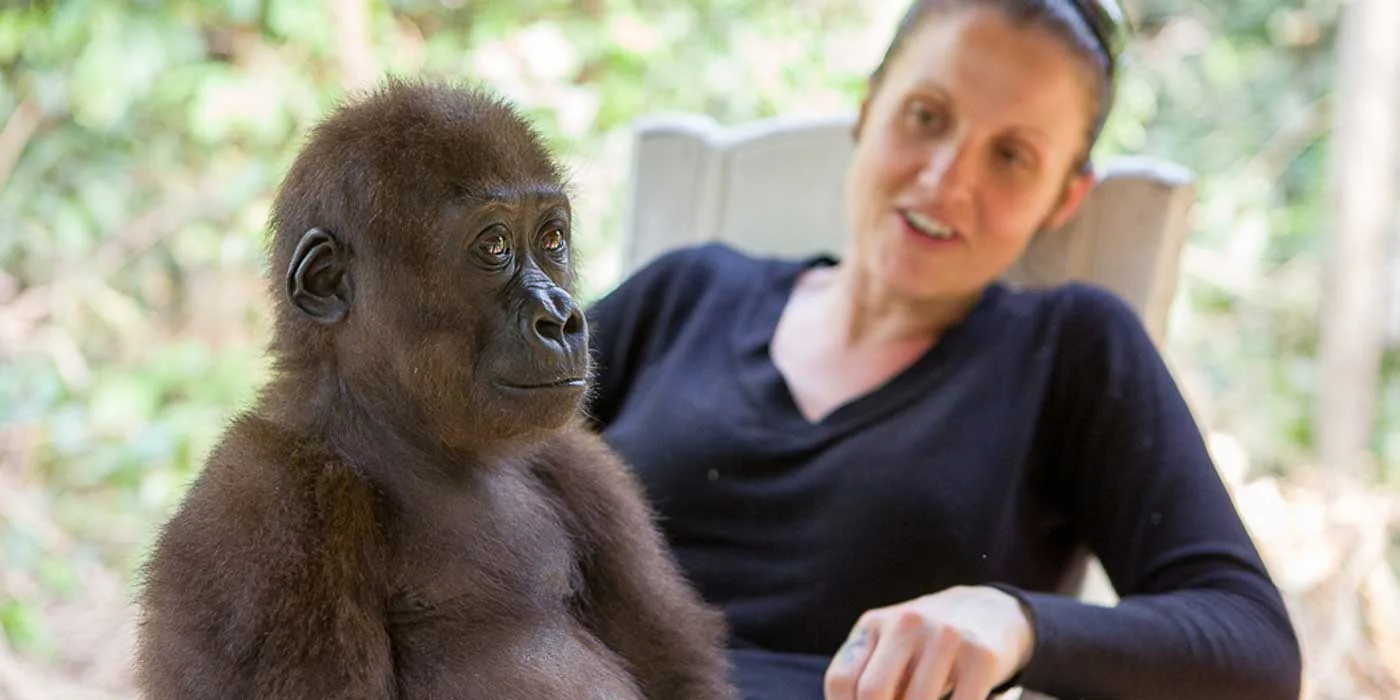 ape-action-africa