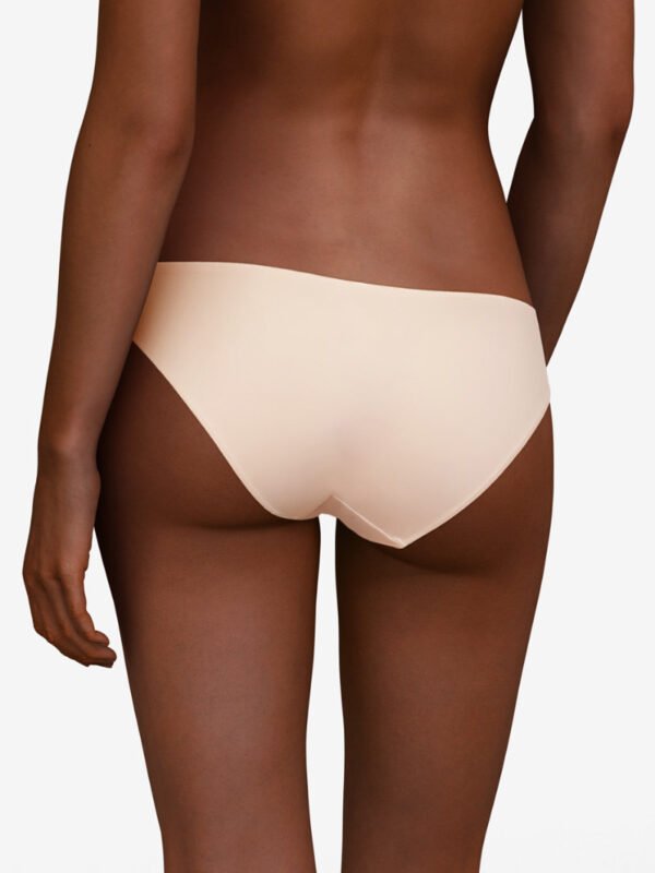 champselysees briefs whit brown rear