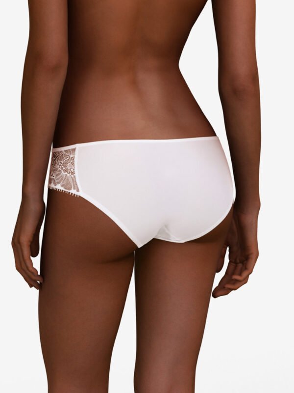 day to night white brief rear